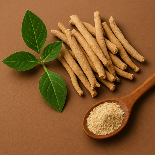 Ashwagandha im Krafttraining – Pflanzliche Power für Performance, Regeneration und mentale Stärke