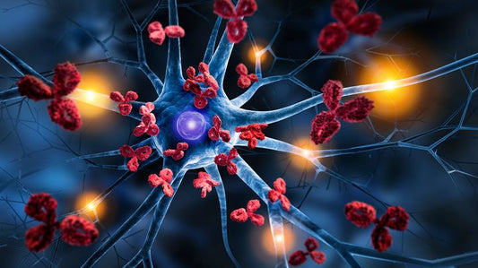 Autoimmunerkrankungen – wachsendes Problem: Und spielt Vitamin D eine Rolle?