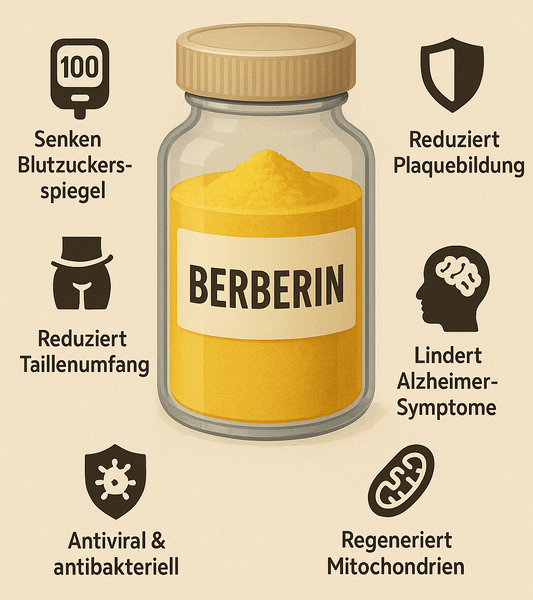 Berberin - Naturstoff mit medizinischem Potenzial