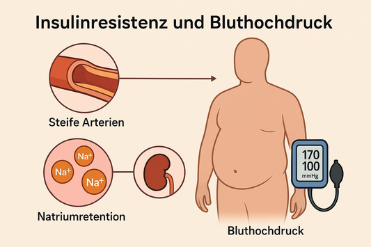Bluthochdruck (Hypertonie): Die unterschätzte Rolle von Insulinresistenz
