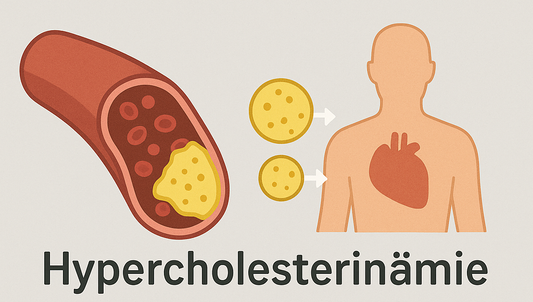 Hypercholesterinämie Nahrungsergänzung