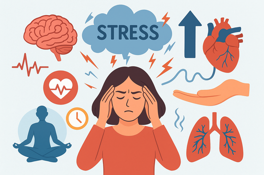 Die Wissenschaft der Emotionen — Stress verstehen und steuern